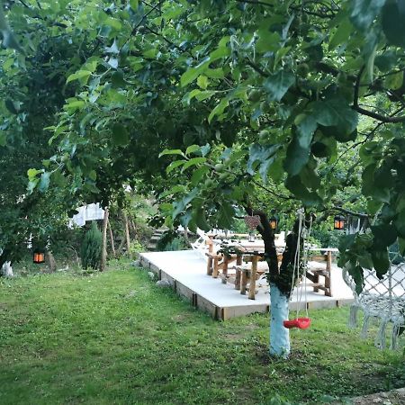 Отель Casa Noastra Оршова Экстерьер фото