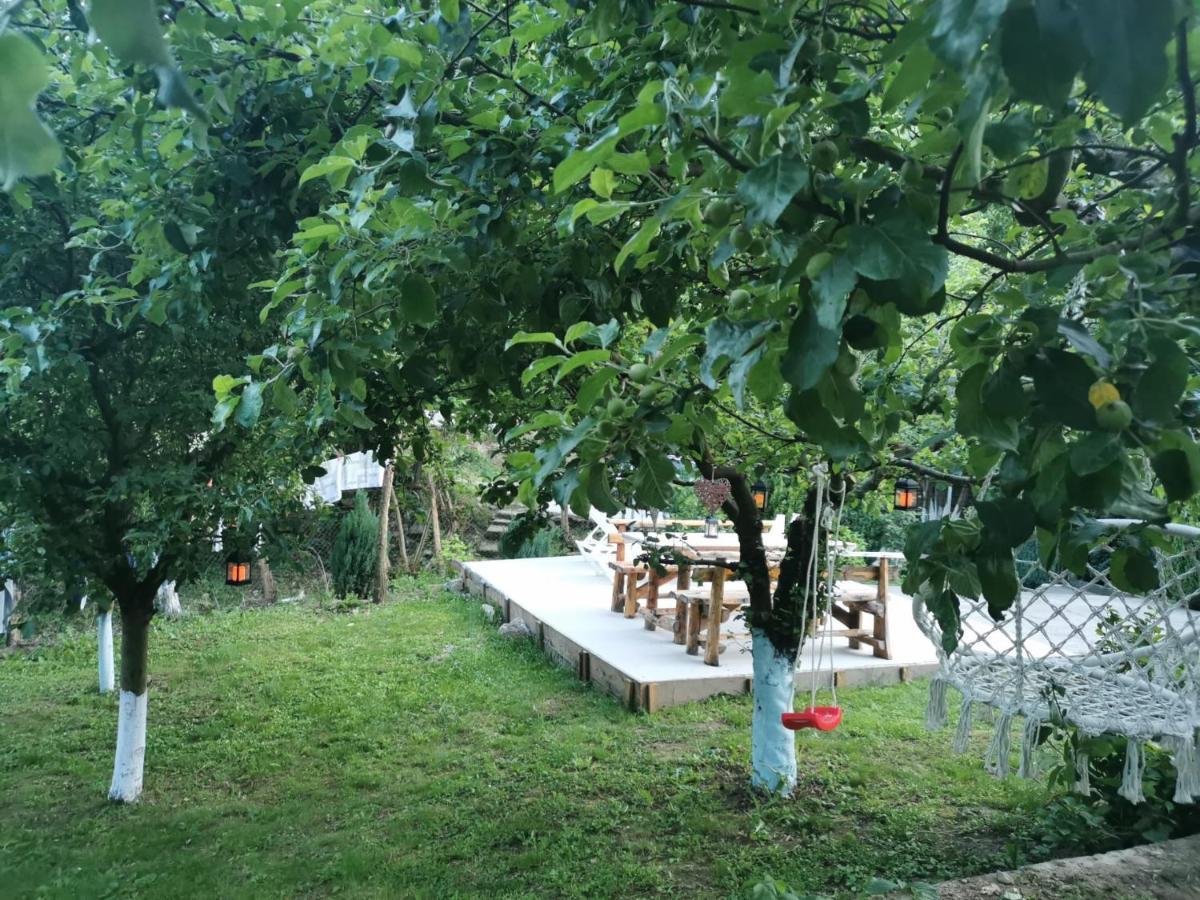 Отель Casa Noastra Оршова Экстерьер фото
